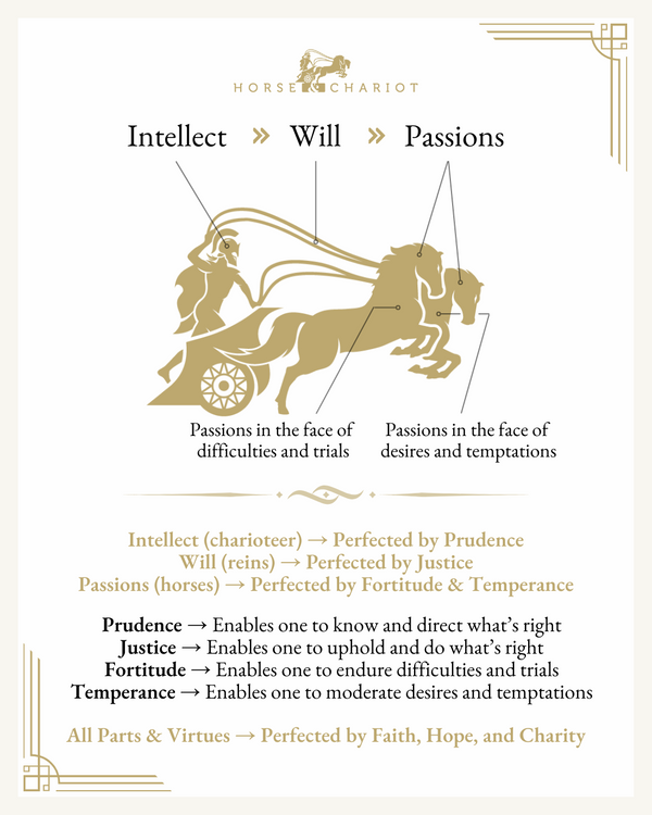 correlation-to-the-virtues-teaching-of-virtue-by-horse-chariot